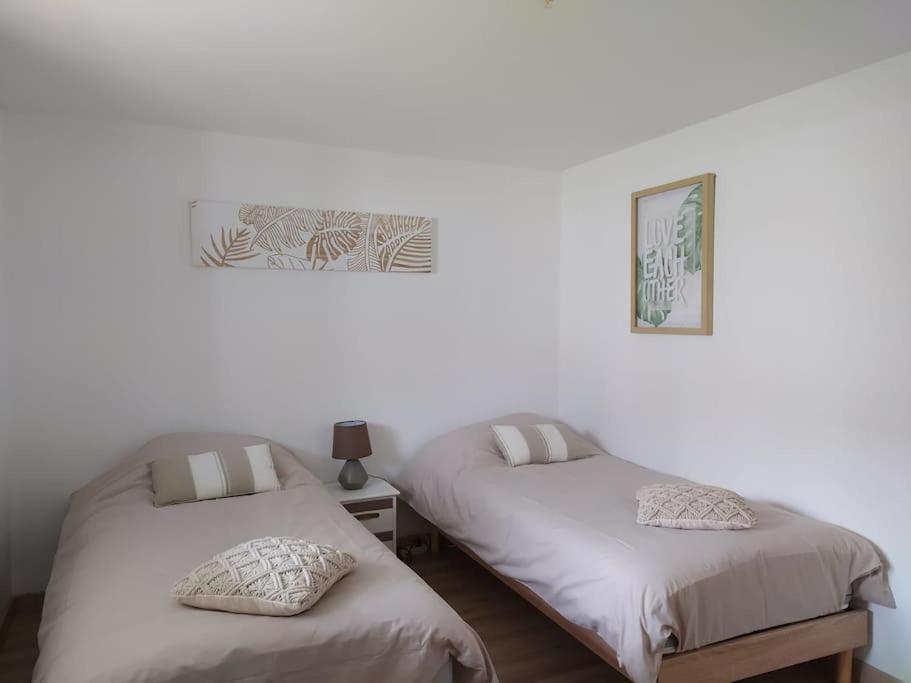 T3 - Appartement Jardin Wissant 6 Personnes Buitenkant foto